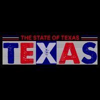The State Of Texas Logo 16 in Basic Backpack