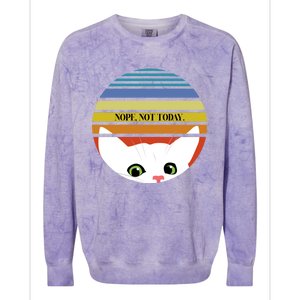 The Sneaky Peeky Cat Nope Not Today Gift Colorblast Crewneck Sweatshirt