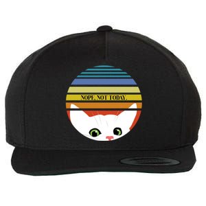 The Sneaky Peeky Cat Nope Not Today Gift Wool Snapback Cap