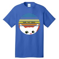 The Sneaky Peeky Cat Nope Not Today Gift Tall T-Shirt