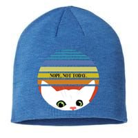 The Sneaky Peeky Cat Nope Not Today Gift Sustainable Beanie