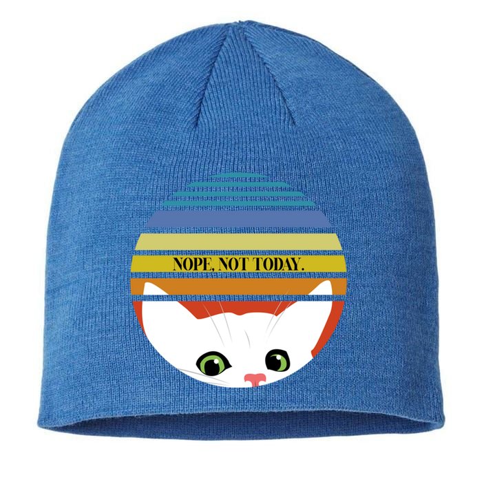 The Sneaky Peeky Cat Nope Not Today Gift Sustainable Beanie