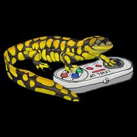 Tiger Salamander Playing Video Game Salamanders Gamers Cropped Pullover Crew