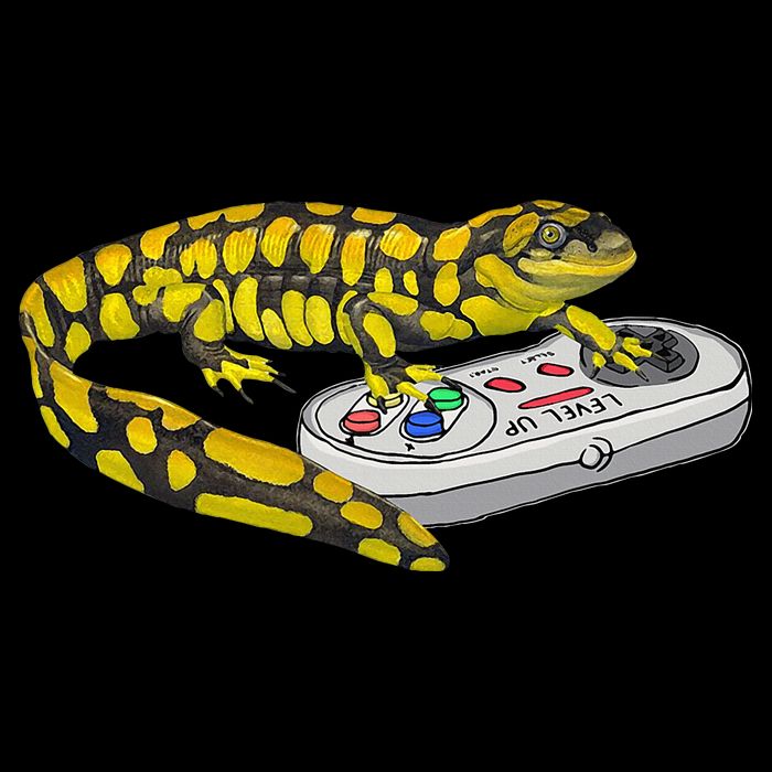 Tiger Salamander Playing Video Game Salamanders Gamers Cropped Pullover Crew