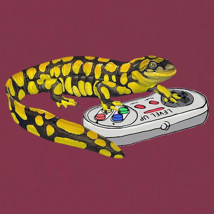 Tiger Salamander Playing Video Game Salamanders Gamers 16oz Travel Tumbler