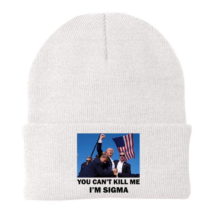 Trump Shot Pennsylvania Rally You CanT Kill Me IM Sigma Knit Cap Winter Beanie