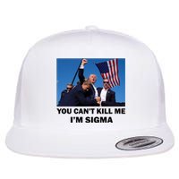 Trump Shot Pennsylvania Rally You CanT Kill Me IM Sigma Flat Bill Trucker Hat