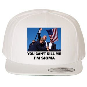 Trump Shot Pennsylvania Rally You CanT Kill Me IM Sigma Wool Snapback Cap