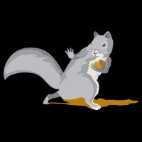The Squirrel Protect The Nut Cool Vector Design Flat Bill Trucker Hat