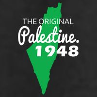 The S Palestine 1948 Adult Drive Performance Visor