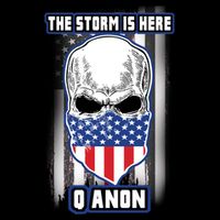 Qanon The Storm Is Here Skull Flag USA-Made Doggie Bandana