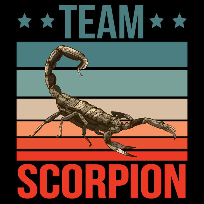 Team Scorpion Quote Animal Scorpion Great Gift Drawstring Bag