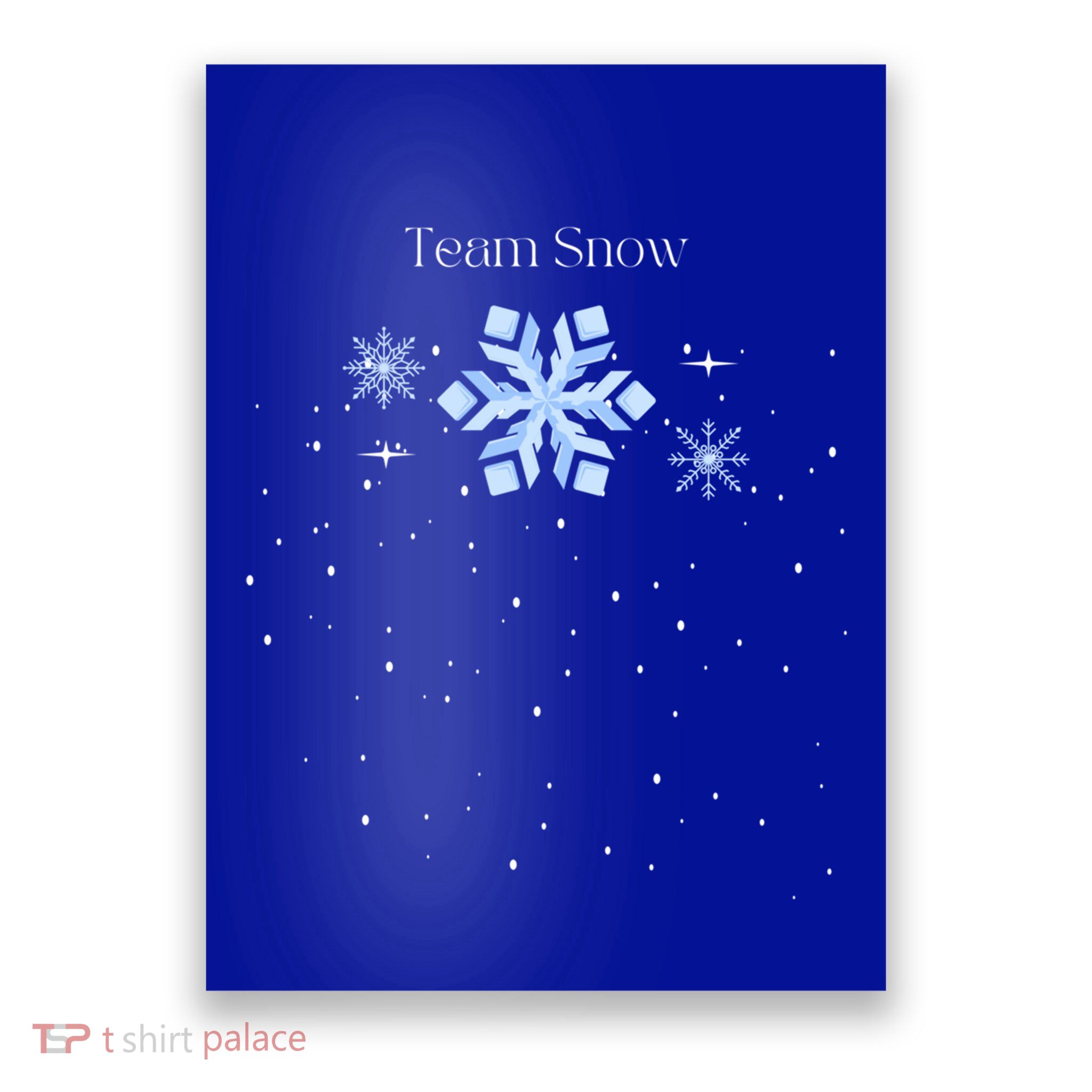 Team Snow Queen Nutcracker Ballet Christmas Snowflake Dancer Gift Poster