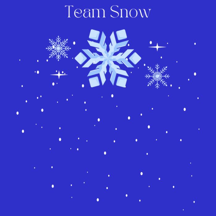 Team Snow Queen Nutcracker Ballet Christmas Snowflake Dancer Gift Short Acrylic Beanie