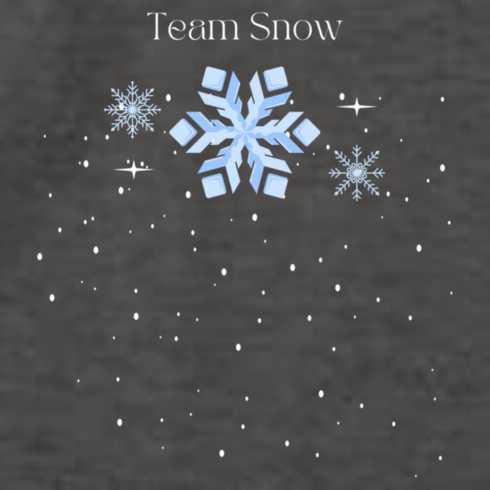 Team Snow Queen Nutcracker Ballet Christmas Snowflake Dancer Gift Vector Backpack