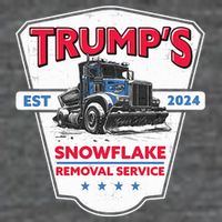 Trumps Snowflake Removal Service Est 2024 Hoodie