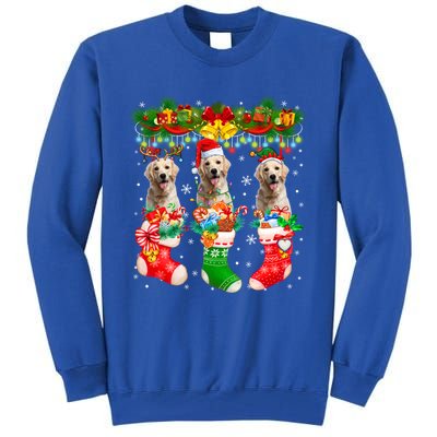 Three Santa Reindeer Elf Labrador Retrievers In Xmas Socks Gift Tall Sweatshirt