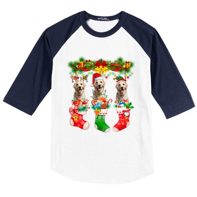 Three Santa Reindeer Elf Labrador Retrievers In Xmas Socks Gift Baseball Sleeve Shirt