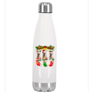 Three Santa Reindeer Elf Labrador Retrievers In Xmas Socks Gift Stainless Steel Insulated Water Bottle