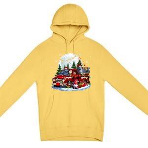 Two Santa Russian Blue Cats On Pickup Truck Gnome Christmas Cute Gift Premium Pullover Hoodie