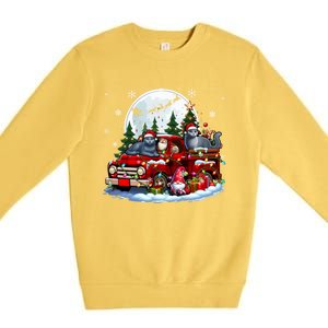 Two Santa Russian Blue Cats On Pickup Truck Gnome Christmas Cute Gift Premium Crewneck Sweatshirt