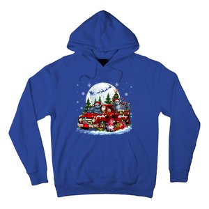 Two Santa Russian Blue Cats On Pickup Truck Gnome Christmas Cute Gift Hoodie