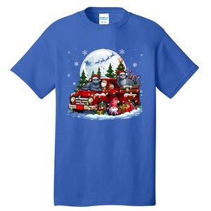 Two Santa Russian Blue Cats On Pickup Truck Gnome Christmas Cute Gift Tall T-Shirt