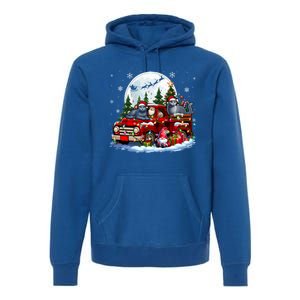 Two Santa Russian Blue Cats On Pickup Truck Gnome Christmas Cute Gift Premium Hoodie