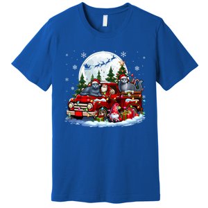 Two Santa Russian Blue Cats On Pickup Truck Gnome Christmas Cute Gift Premium T-Shirt