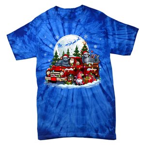 Two Santa Russian Blue Cats On Pickup Truck Gnome Christmas Cute Gift Tie-Dye T-Shirt