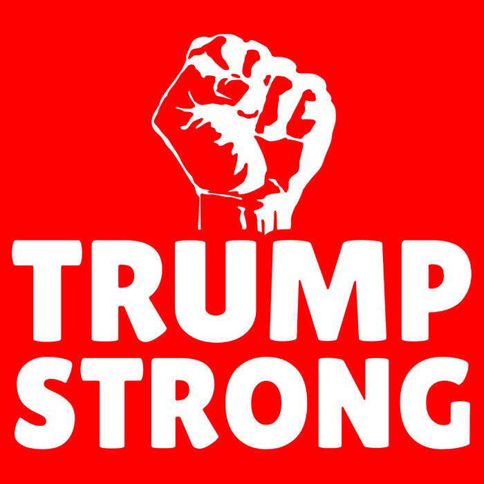 Trump Strong Rally Shooting Survivor Gun Shot T-Shirt
