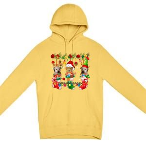 Three Santa Reindeer Elf Whoodles In Xmas Socks Dog Lover Funny Gift Premium Pullover Hoodie