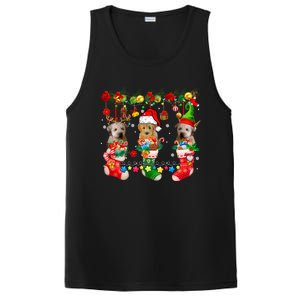 Three Santa Reindeer Elf Whoodles In Xmas Socks Dog Lover Funny Gift PosiCharge Competitor Tank