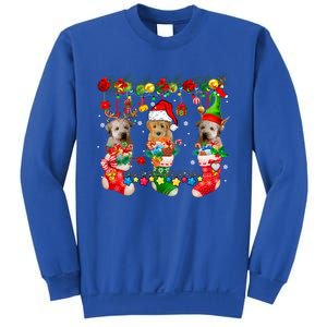 Three Santa Reindeer Elf Whoodles In Xmas Socks Dog Lover Funny Gift Sweatshirt