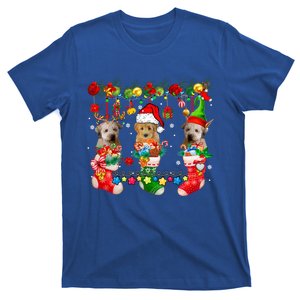 Three Santa Reindeer Elf Whoodles In Xmas Socks Dog Lover Funny Gift T-Shirt