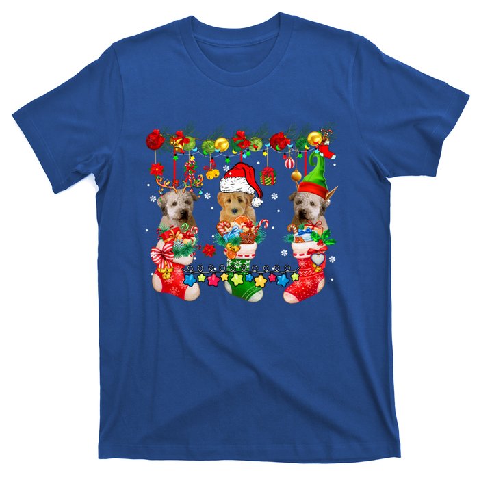 Three Santa Reindeer Elf Whoodles In Xmas Socks Dog Lover Funny Gift T-Shirt