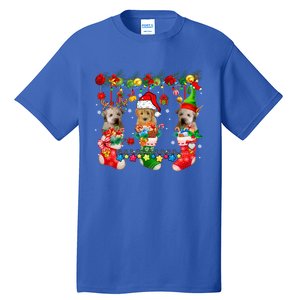 Three Santa Reindeer Elf Whoodles In Xmas Socks Dog Lover Funny Gift Tall T-Shirt