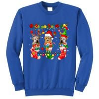 Three Santa Reindeer Elf Whoodles In Xmas Socks Dog Lover Funny Gift Tall Sweatshirt