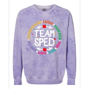 Team Sped Special Teacher Specialist School Caretaker Staff Colorblast Crewneck Sweatshirt