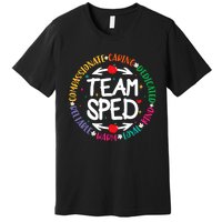 Team Sped Special Teacher Specialist School Caretaker Staff Premium T-Shirt