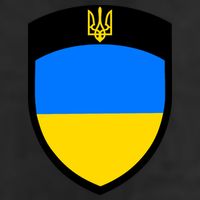 Tactical Shield Support 5 11 Ukraine Volodymyr Zelenskyy Trident Military Adult Drive Performance Visor