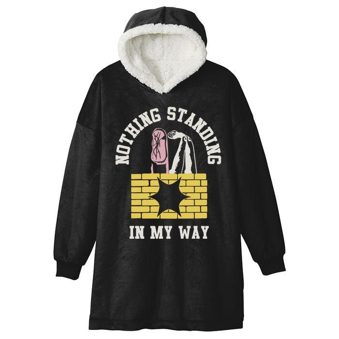 The Story So Far Nothing Standing In My Way Hooded Wearable Blanket