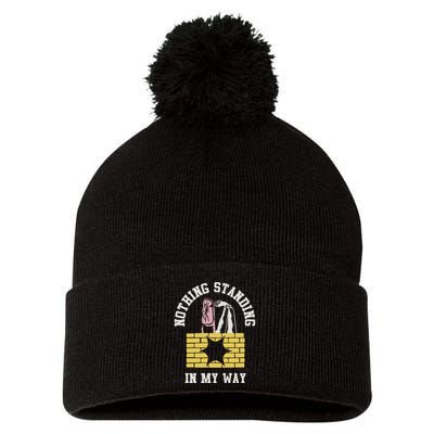 The Story So Far Nothing Standing In My Way Pom Pom 12in Knit Beanie