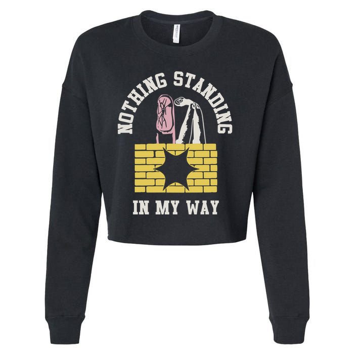 The Story So Far Nothing Standing In My Way Cropped Pullover Crew
