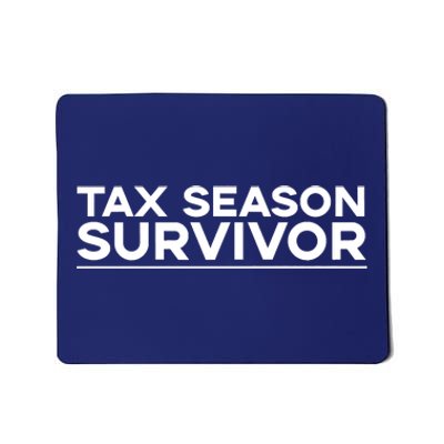 Tax Season Survivor, Funny Accountant Mousepad