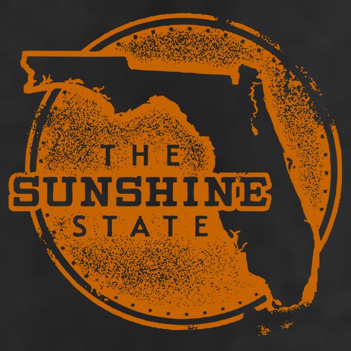 The Sunshine State Adult Drive Performance Visor