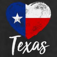 Texas Strong State Flag Heart 7 Panel Mesh Trucker Snapback Hat
