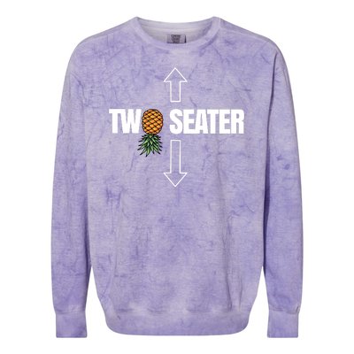 Two Seater Swinger Pineapple Funny Colorblast Crewneck Sweatshirt