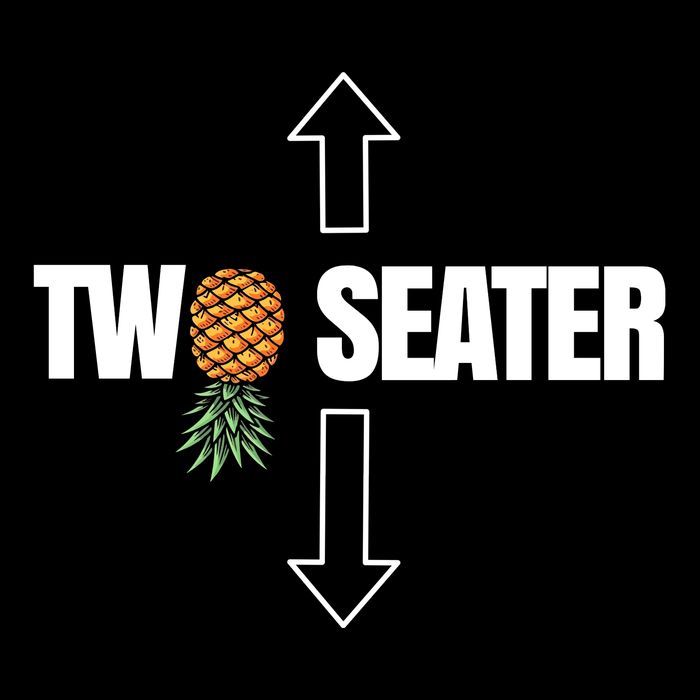Two Seater Swinger Pineapple Funny 16 in Basic Backpack