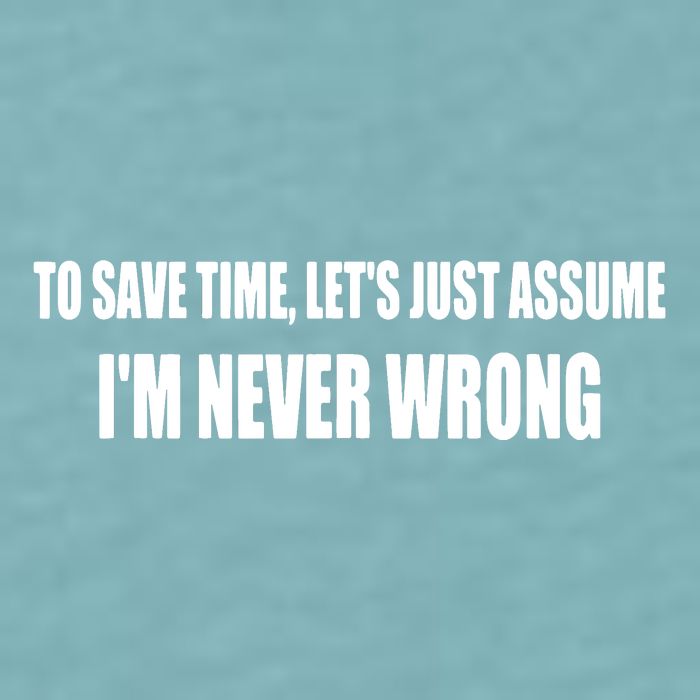 To Save Time Let's Assume I'm Never Wrong I Am Right Sueded Cloud Jersey T-Shirt